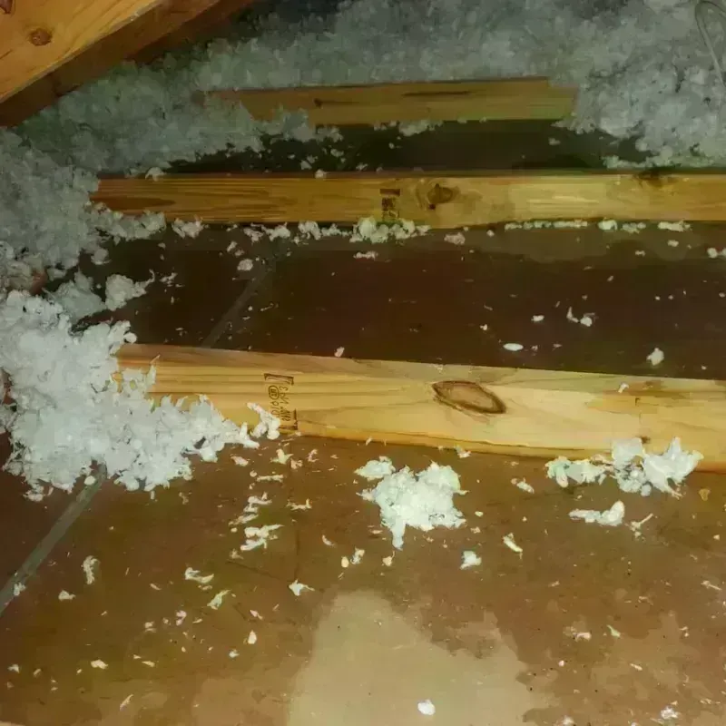 Attic Water Damage in Lampasas, TX